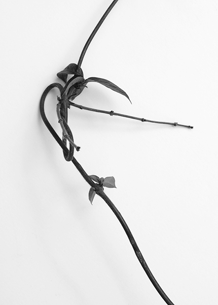 http://yannh.ch/files/gimgs/51_dsc3341-copie.jpg