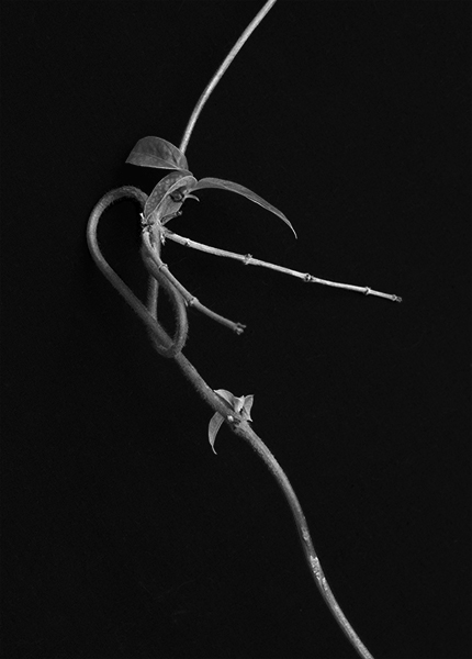 http://yannh.ch/files/gimgs/51_dsc3349-copie.jpg