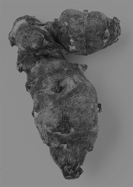 http://yannh.ch/files/gimgs/51_dsc3751-copie.jpg
