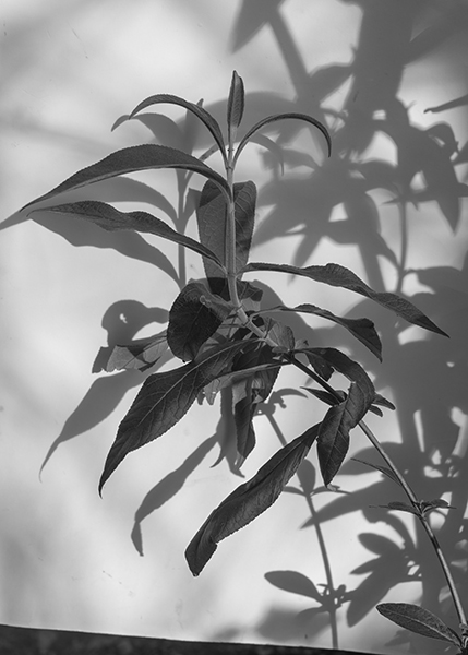 http://yannh.ch/files/gimgs/51_dsc3861-copie.jpg