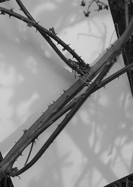http://yannh.ch/files/gimgs/51_dsc3926-copie.jpg