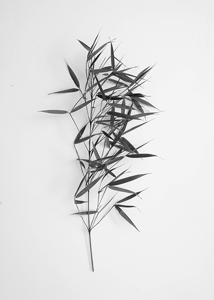 http://yannh.ch/files/gimgs/51_dsc4132-copie.jpg