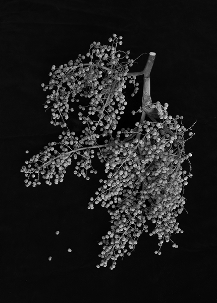 http://yannh.ch/files/gimgs/51_dsc6733-copie-2.jpg