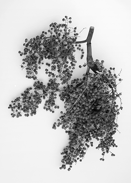 http://yannh.ch/files/gimgs/51_dsc6764-copie-2.jpg