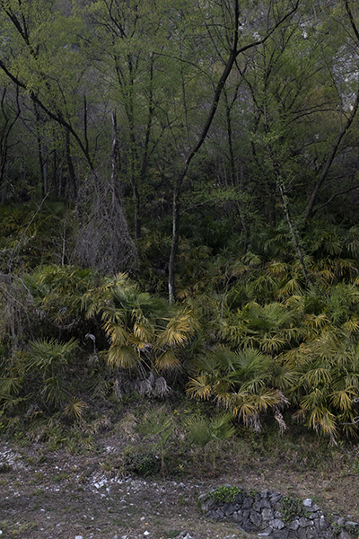 http://yannh.ch/files/gimgs/51_dsf7200-copie.jpg